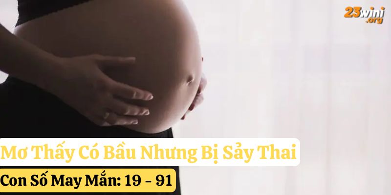 23win giải mã mơ có bầu