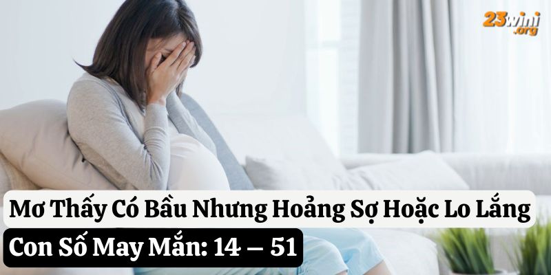 23win mơ bầu