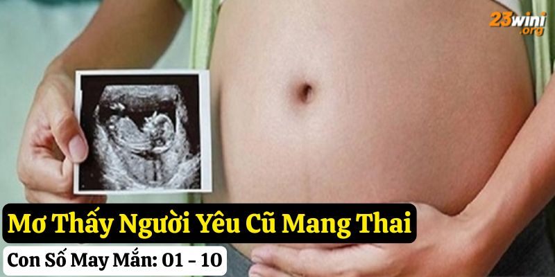 23win mơ có bầu giải mã