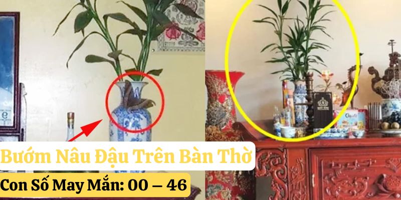 bướm nâu bay vào nhà đánh con gì 23win