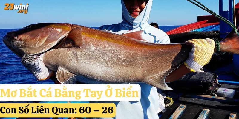 mơ bắt cá bằng tay đánh con gì 23win