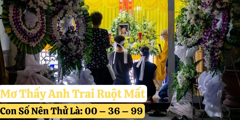 23win giải mã mơ thấy anh trai