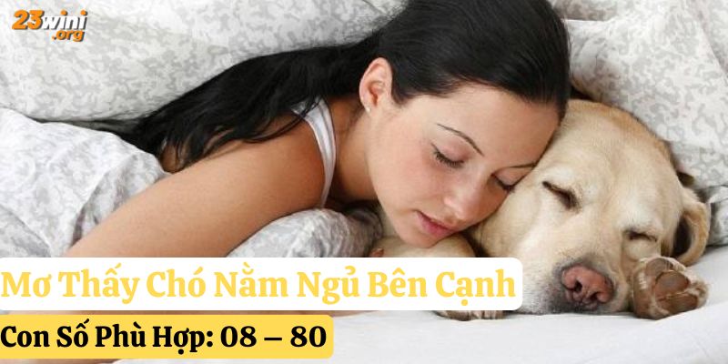23win giải mã mơ thấy chó