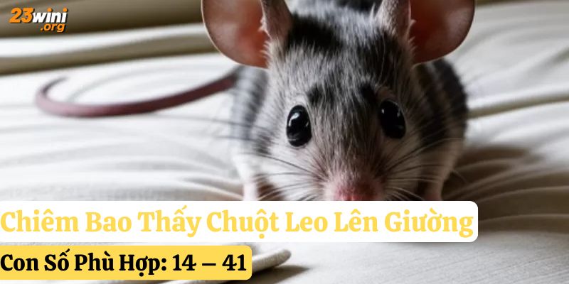 23win giải mã mơ thấy chuột