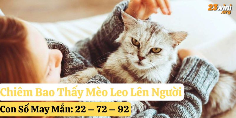 23win giải mã mơ thấy mèo