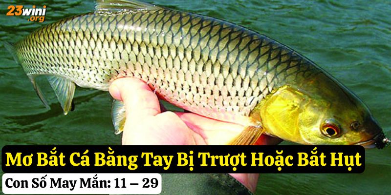mơ bắt cá bằng tay đánh con gì
