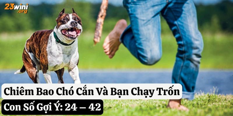 mơ thấy chó cắn