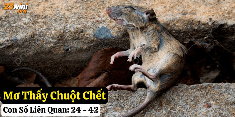 23win mơ thấy chuột giải mã