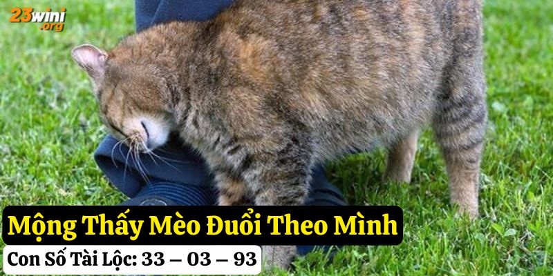 23win mơ thấy mèo giải mã