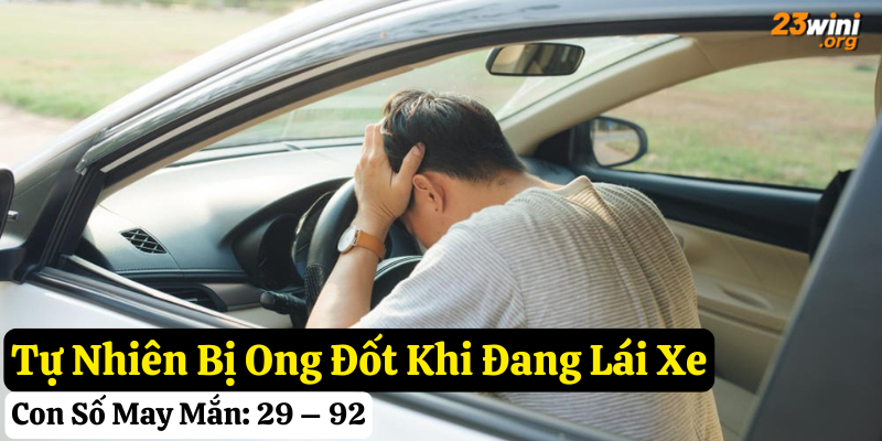 tự nhiên bị ong đốt đánh con gì