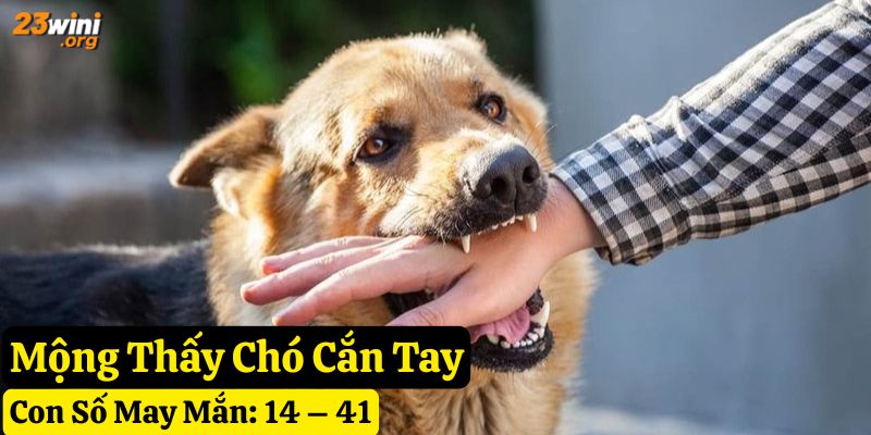 nằm mơ chó cắn