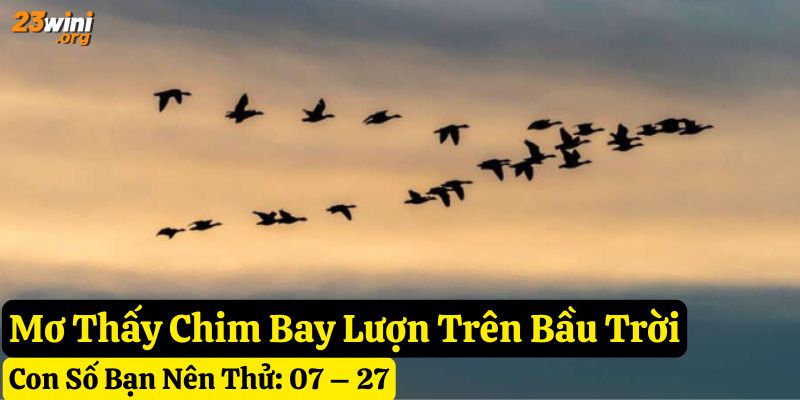 giấc mơ thấy chim 23win