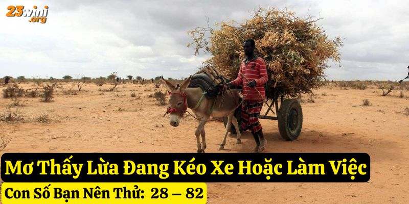 giấc mơ thấy con lừa 23win