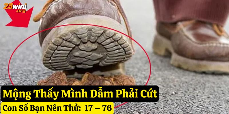 nằm mơ thấy cứt