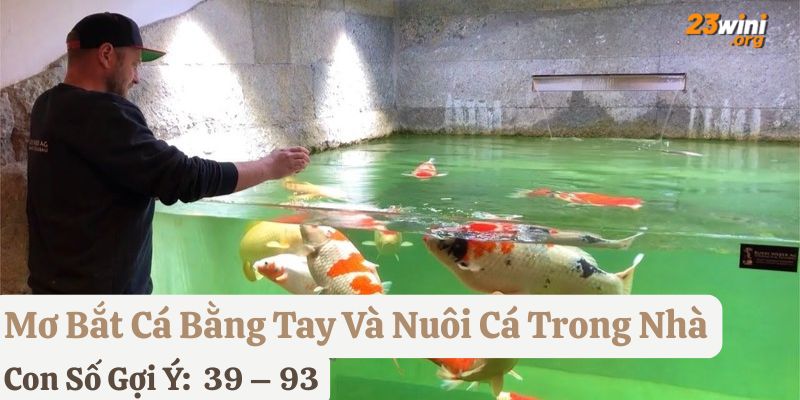 mơ bắt cá bằng tay đánh gì
