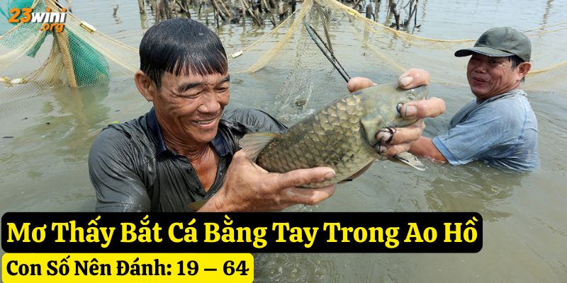 mơ bắt cá bằng tay