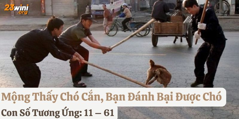 nằm mơ chó cắn 23win