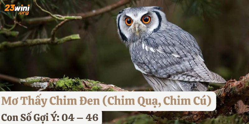 nằm mơ thấy chim đánh số gì