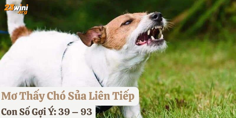 mơ thấy chó đánh con gì