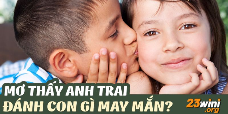 mơ thấy anh trai ruột đánh con gì 23win