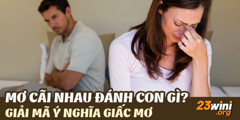 mơ thấy cãi nhau với người thân đánh con gì 23win