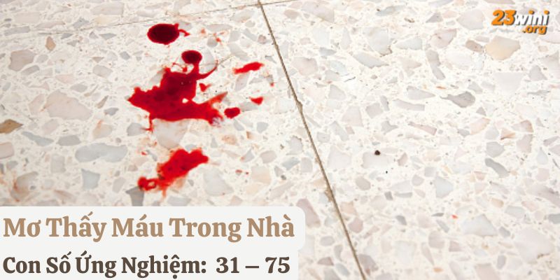 mơ thấy máu 23win