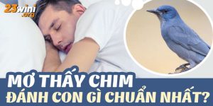 nằm mơ thấy chim đánh số gì 23win