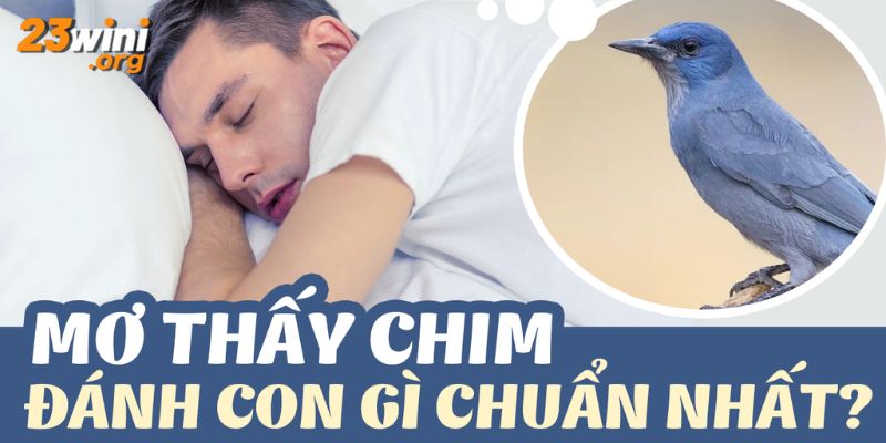 nằm mơ thấy chim đánh số gì 23win