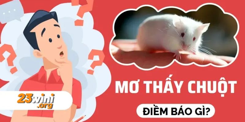 nằm mơ thấy chuột 23win