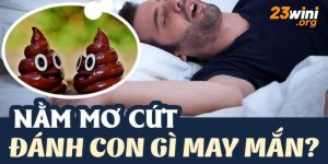 nằm mơ thấy cứt 23win