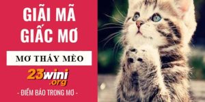 nằm mơ thấy mèo 23win