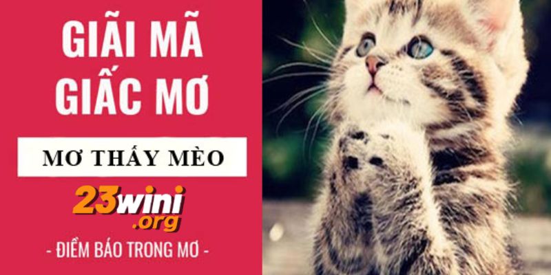 nằm mơ thấy mèo 23win