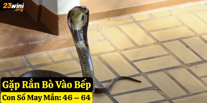 gặp rắn đánh con gì 23win