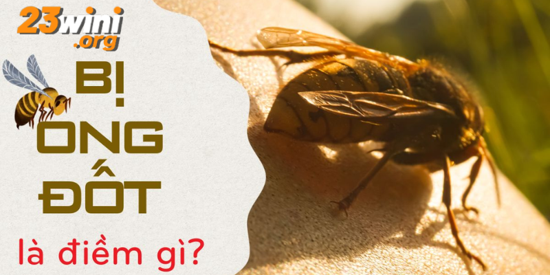 tự nhiên bị ong đốt đánh con gì 23win thumb