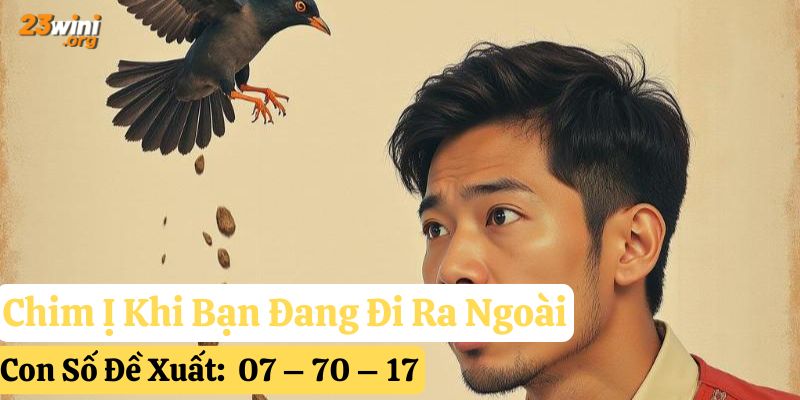 chim ị lên người 23win