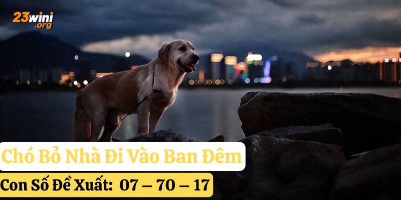 chó bỏ nhà đi 23win