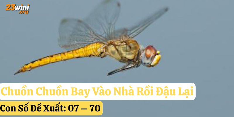 chuồn chuồn bay vào nhà