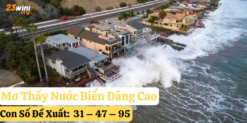 mơ thấy biển đánh số gì