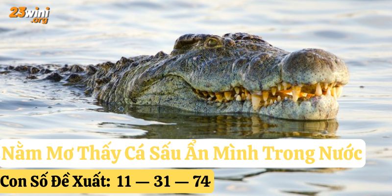 nằm mơ thấy cá sấu 23win
