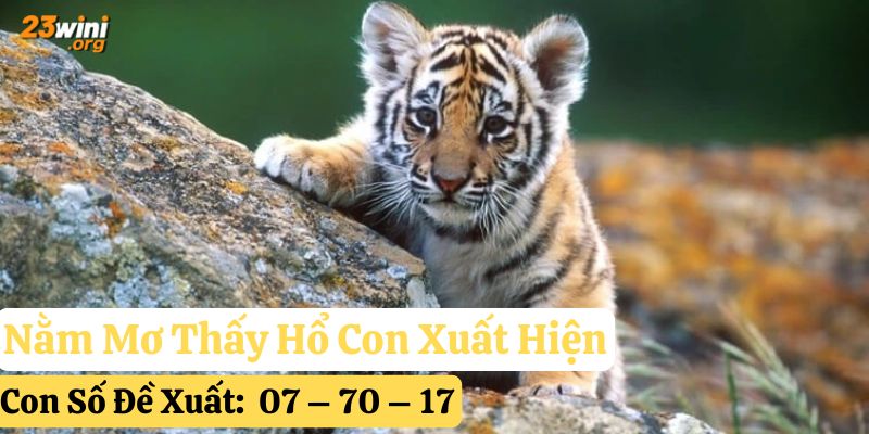 nằm mơ thấy hổ 23win