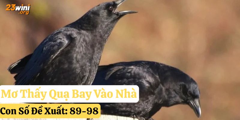 mơ thấy quạ 23win