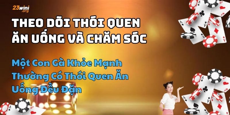 kinh nghiệm chơi đá gà 23win