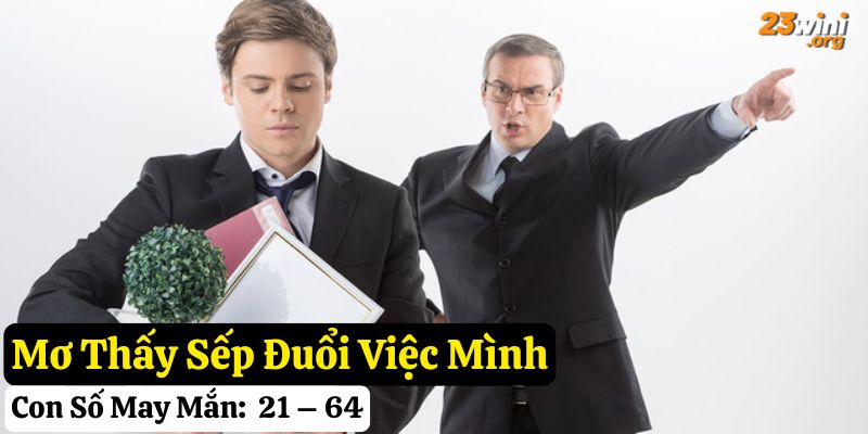 mơ thấy bị đuổi việc