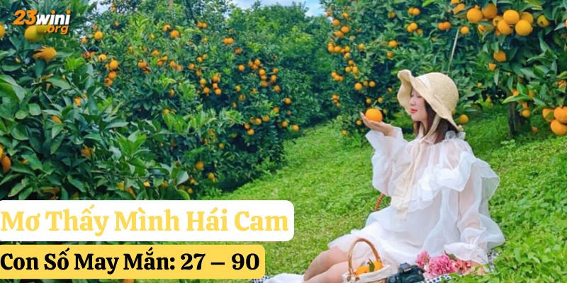mơ thấy quả cam 23win