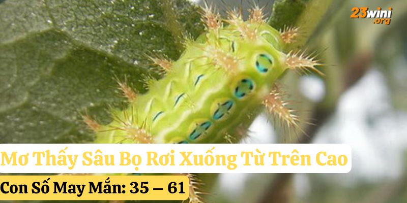 mơ thấy sâu bọ hb88