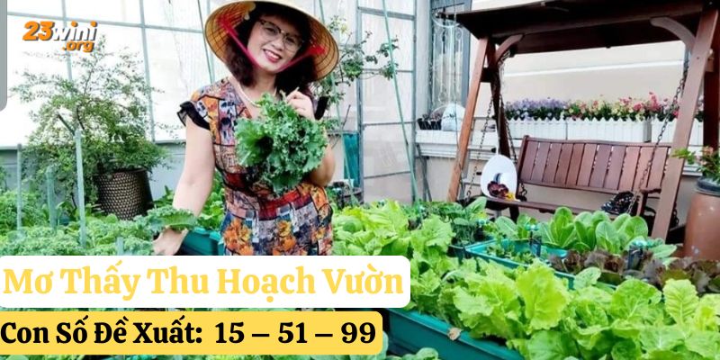 nằm mơ thấy làm vườn 23win