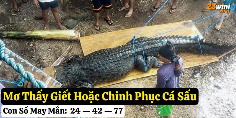 nằm mơ thấy cá sấu
