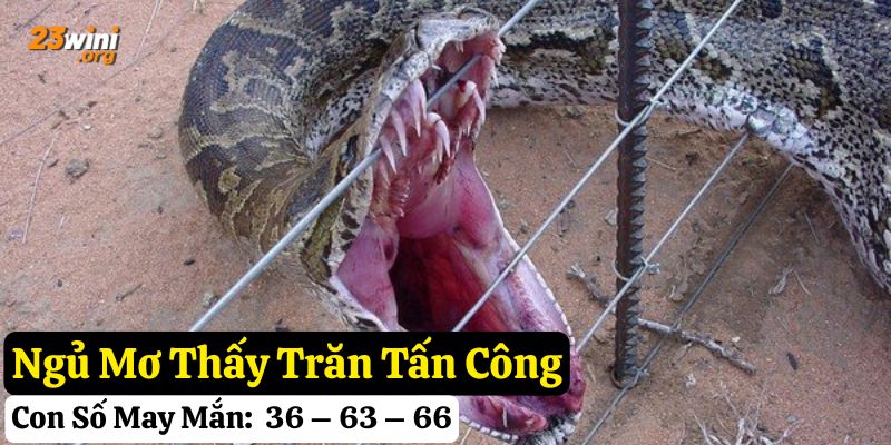 ngủ mơ thấy trăn