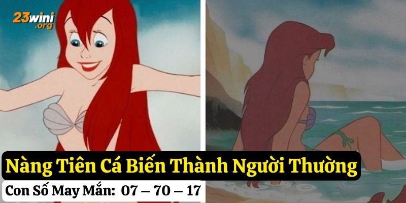 mơ thấy nàng tiên cá