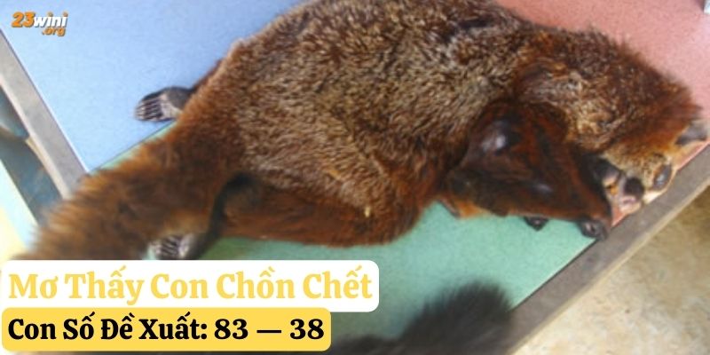 mơ thấy con chồn 23win